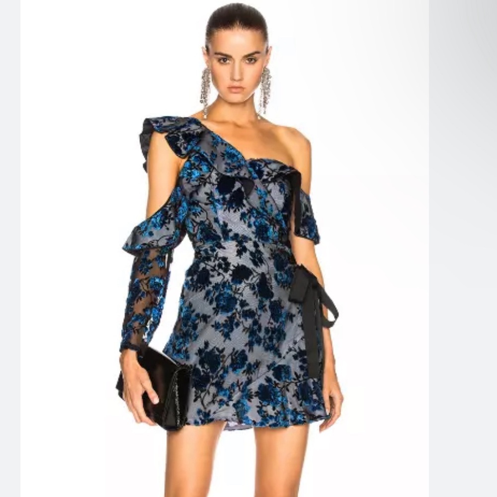 Self-portrait velvet floral mini dress XS US 2